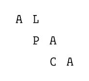 alpaca